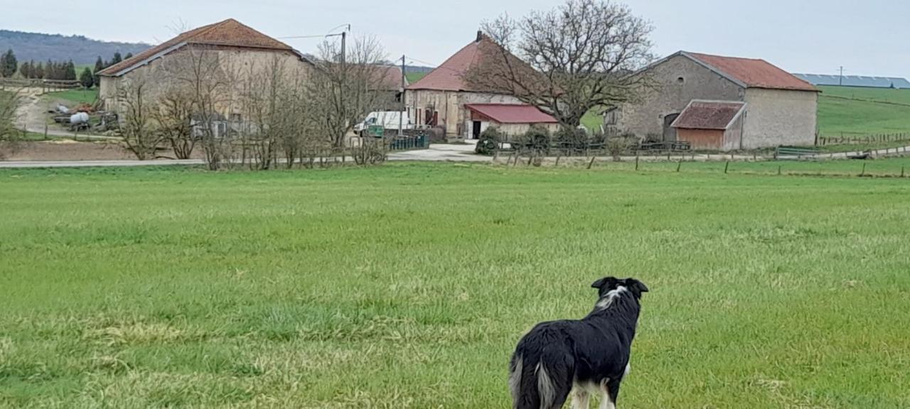 Gasthuis Ferme Des Champs