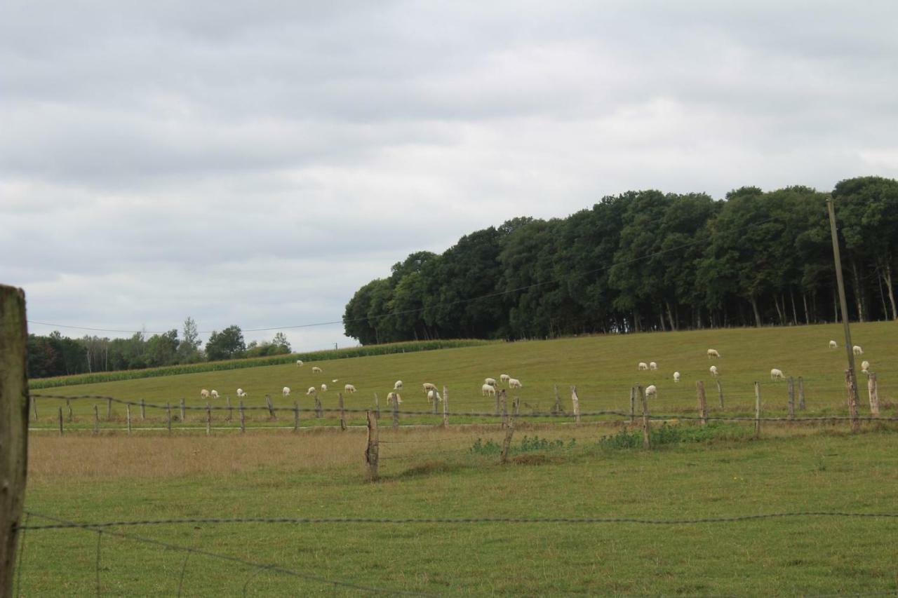 Gasthuis Ferme Des Champs Vrécourt