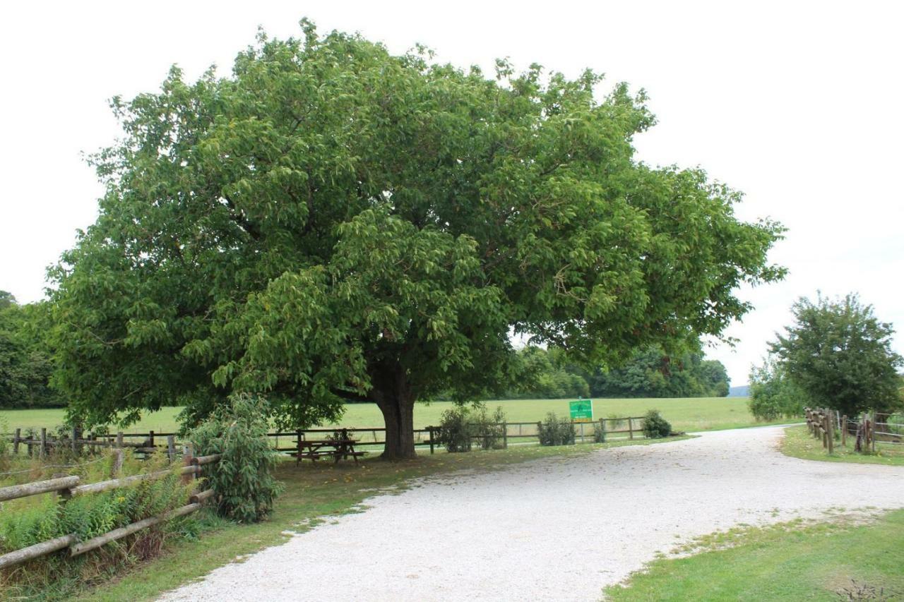 Ferme Des Champs